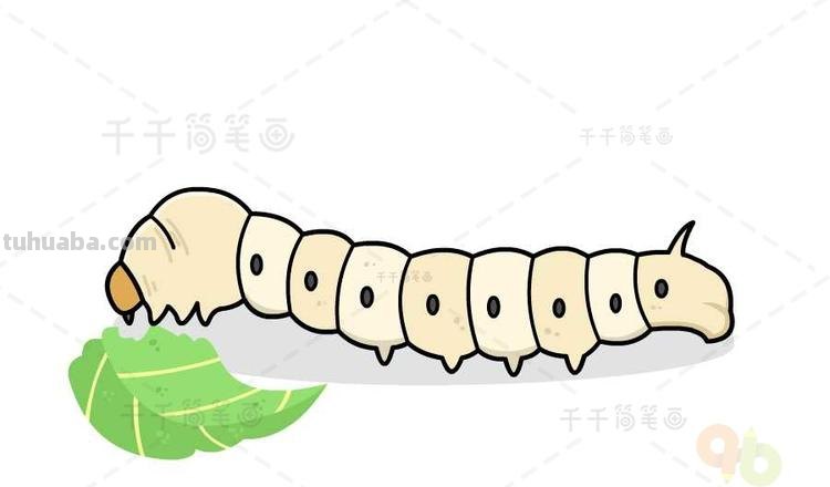 蚕的简笔画怎么画 蚕宝宝怎么涂颜色？