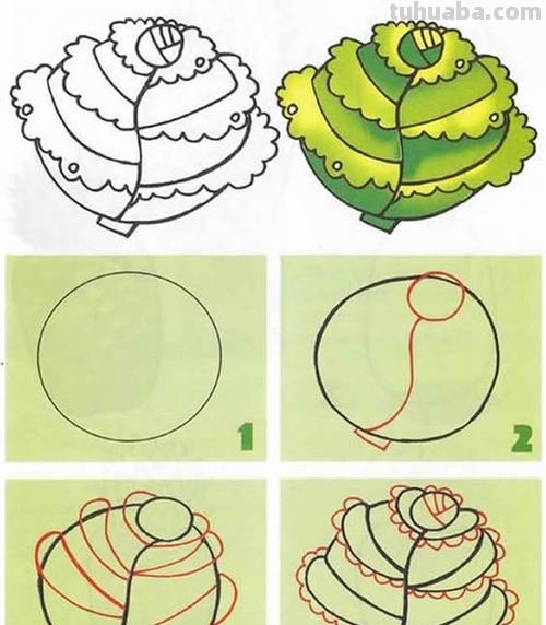 如何画出色彩斑斓的包菜？ 