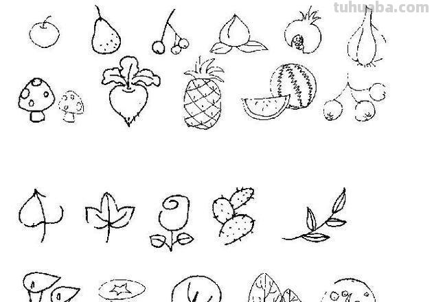 简单的水果花卉简笔画，快收藏起来和孩子一起学画画吧