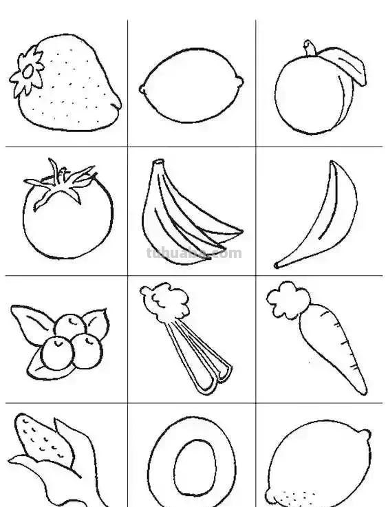 简单的水果花卉简笔画，快收藏起来和孩子一起学画画吧