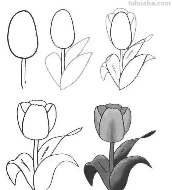 简单的水果花卉简笔画，快收藏起来和孩子一起学画画吧