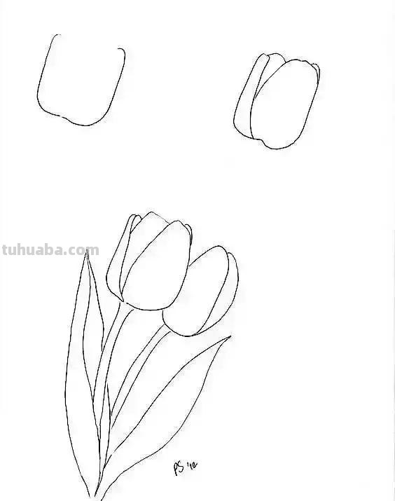 简单的水果花卉简笔画，快收藏起来和孩子一起学画画吧