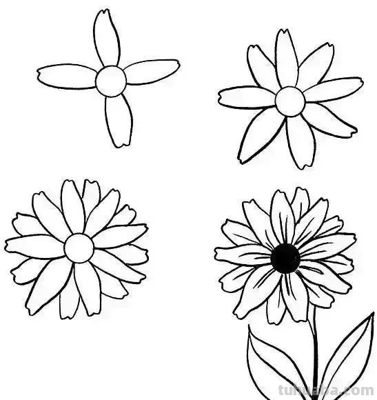 简单的水果花卉简笔画，快收藏起来和孩子一起学画画吧