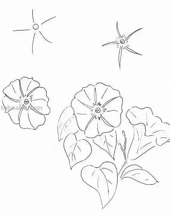 简单的水果花卉简笔画，快收藏起来和孩子一起学画画吧
