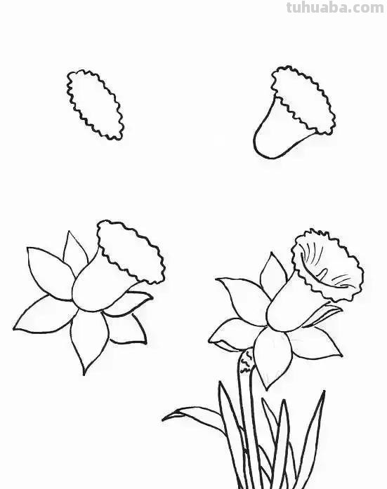 简单的水果花卉简笔画，快收藏起来和孩子一起学画画吧