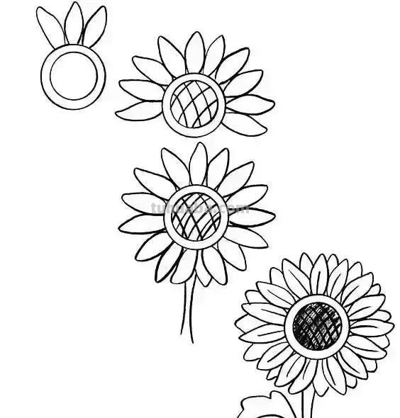 简单的水果花卉简笔画，快收藏起来和孩子一起学画画吧