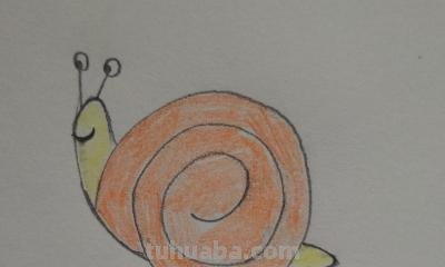 简笔画蜗牛涂什么颜色 蜗牛简单画法？