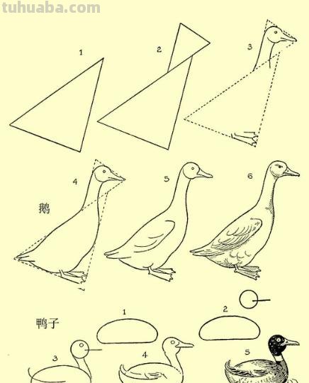精湛到令你叹为观止的简画技法
