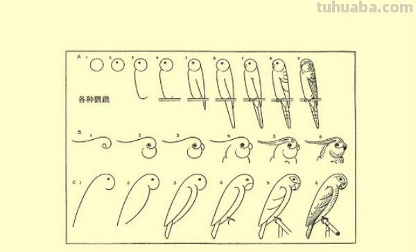 精湛到令你叹为观止的简画技法