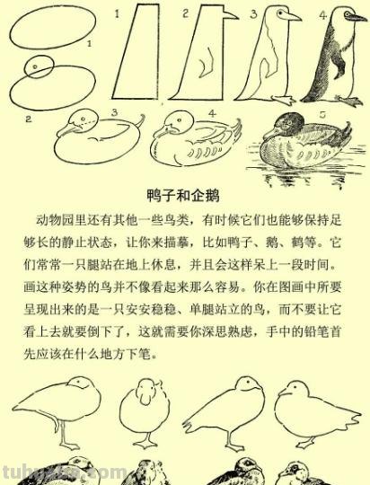 精湛到令你叹为观止的简画技法