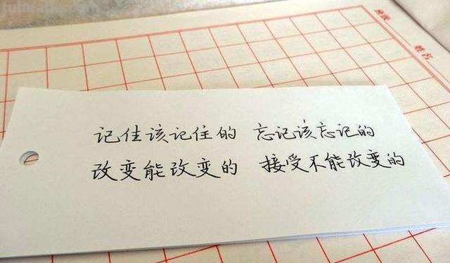 初中生考场佳作:故地总是易得的,难寻的是故人
