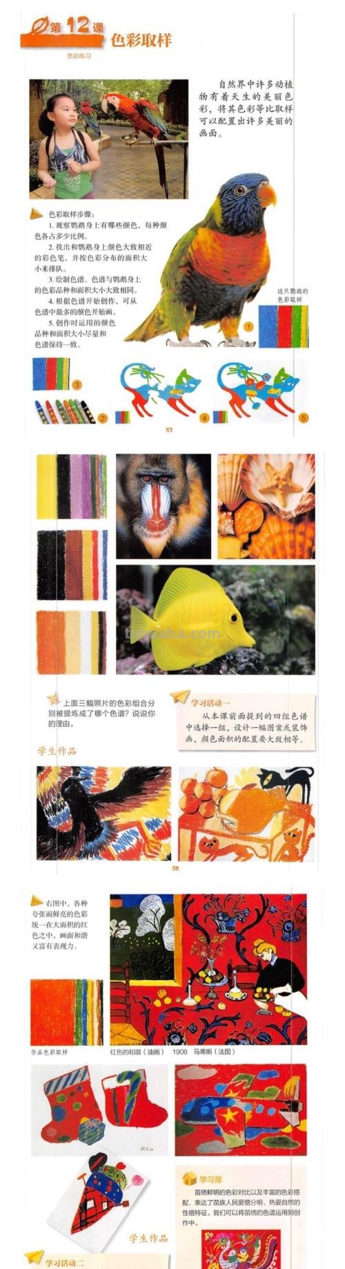 色彩能力测试及色彩能力测试题及答案——如何测量你的色彩感知能力？ 