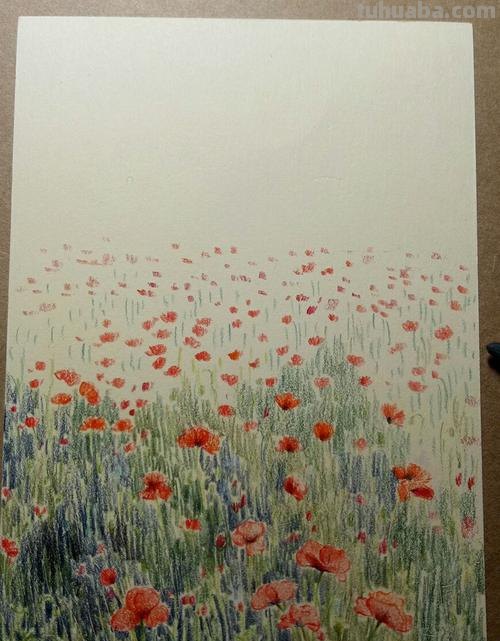 我想画花怎么画彩铅画 怎么用彩铅画超简单的花海？