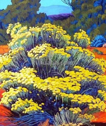 高雅的色彩及高雅的色彩分析：揭秘绘画中的神秘色彩 