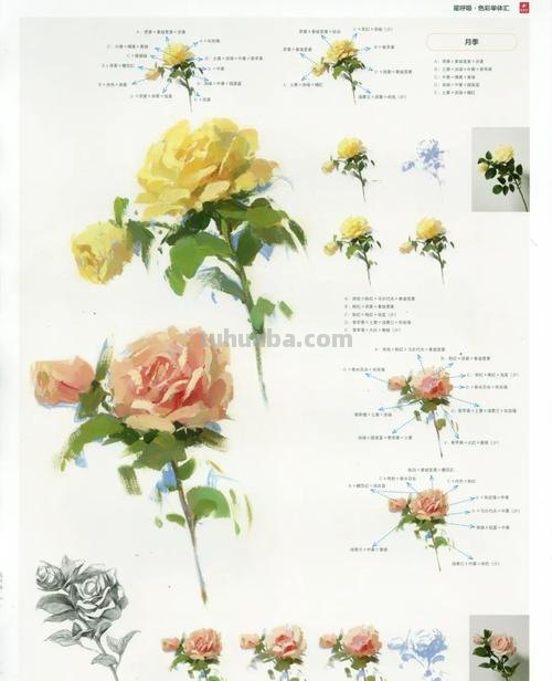 如何用色彩写生花卉?——从基础到进阶,带你掌握绘画技巧