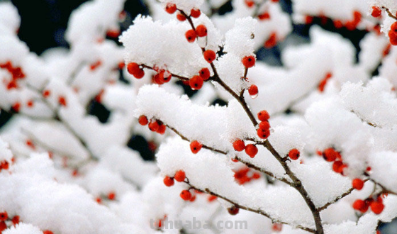 一九二九三九顺口溜怎么说?