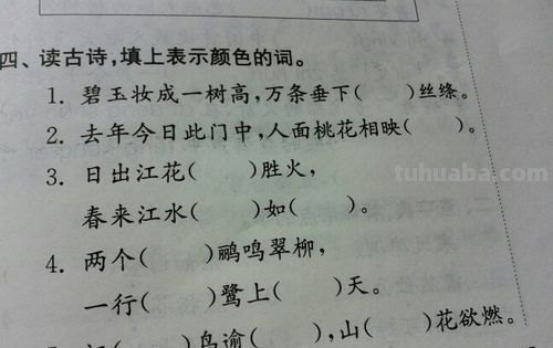 涂画吧小编教你如何选择什么色彩填空及什么色彩填空词语