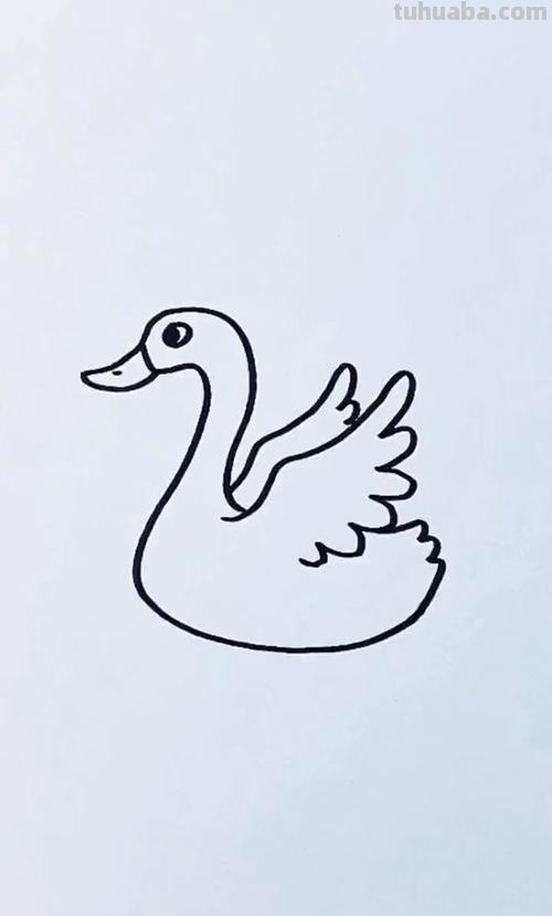 怎么画鹅的简笔画 如何画天鹅的简笔画？