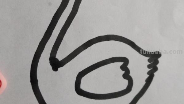 怎么画鹅的简笔画 如何画天鹅的简笔画？