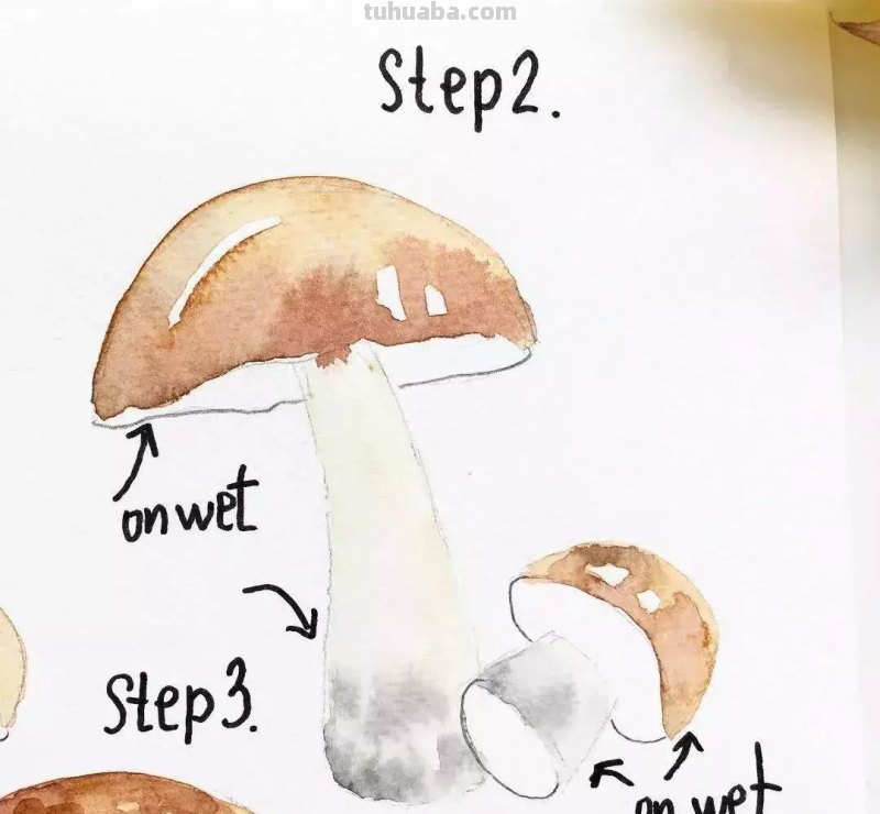伦敦艺术家分享的水彩画教程，想入门的朋友快收藏起来吧