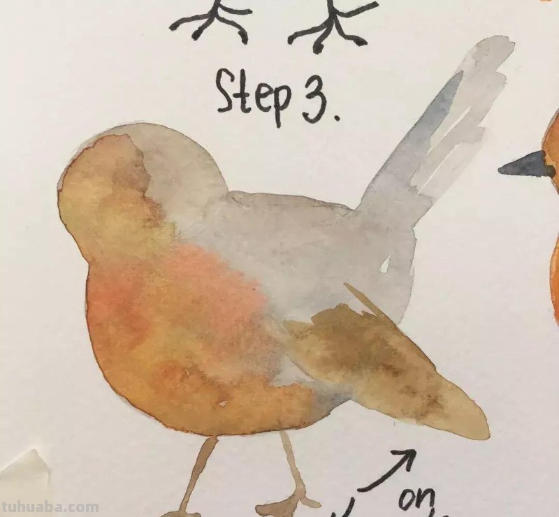 伦敦艺术家分享的水彩画教程，想入门的朋友快收藏起来吧