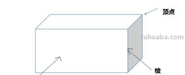 长方体和正方体的区别是什么