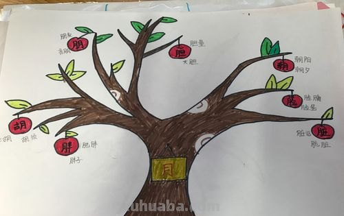 人民思维导图怎么画 如何画思维导图？