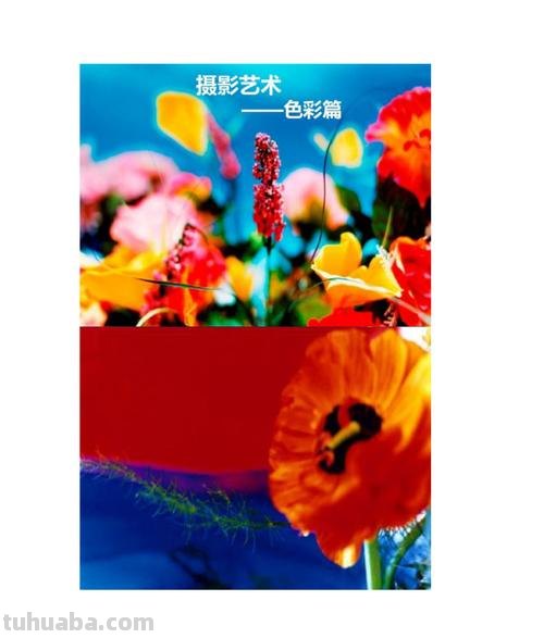 摄影艺术色彩及摄影艺术色彩分析 