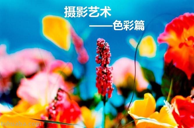 摄影艺术色彩及摄影艺术色彩分析 
