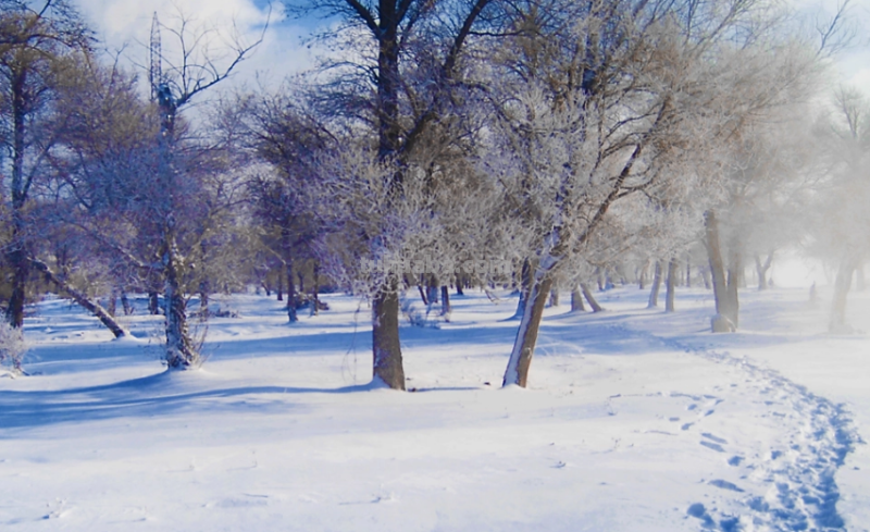 寒风凛冽的拼音