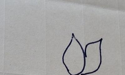 荷叶的简笔画怎么画 简笔画荷花的画法？
