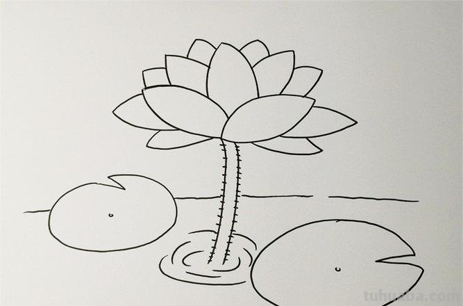 荷叶的简笔画怎么画 简笔画荷花的画法？