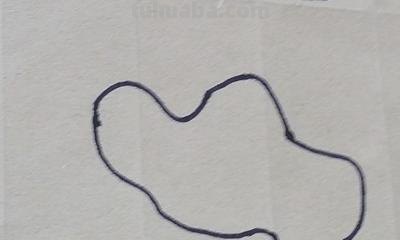 荷叶的简笔画怎么画 简笔画荷花的画法？