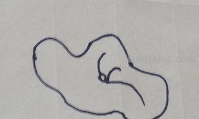荷叶的简笔画怎么画 简笔画荷花的画法？