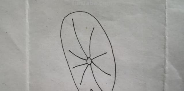 荷叶的简笔画怎么画 简笔画荷花的画法？