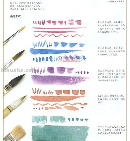 《零基础也能学会的色彩入门指南》 