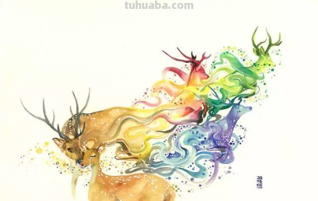 鹿色彩图片及鹿色彩画照片——探寻鹿色彩的神秘魅力 