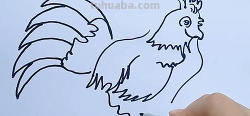 鸡年手抄报的鸡怎么画 大公鸡画画?