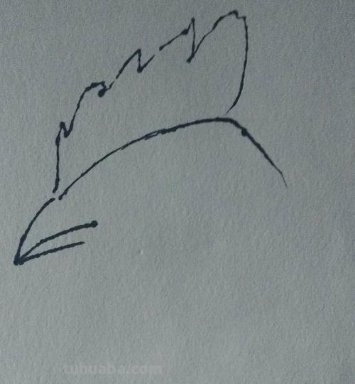 鸡年手抄报的鸡怎么画 大公鸡画画? 鸡年手抄报的鸡怎么画 大公鸡画画?