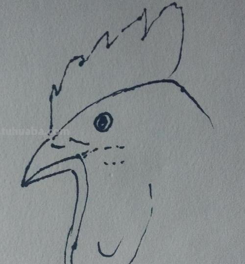 鸡年手抄报的鸡怎么画 大公鸡画画? 鸡年手抄报的鸡怎么画 大公鸡画画?