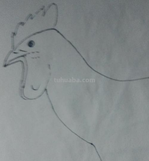 鸡年手抄报的鸡怎么画 大公鸡画画? 鸡年手抄报的鸡怎么画 大公鸡画画?