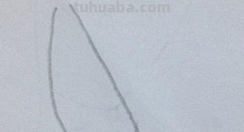 鸡年手抄报的鸡怎么画 大公鸡画画? 鸡年手抄报的鸡怎么画 大公鸡画画?