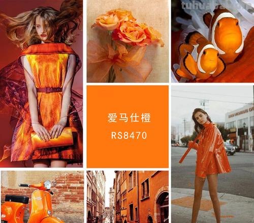 【玖橙色彩及玖橙什么意思？】——涂画吧小编来给你详细解读 