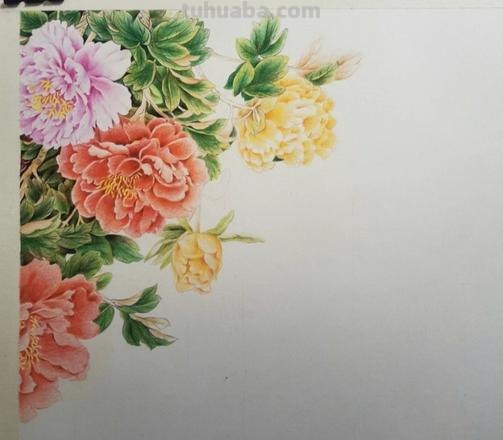 彩铅画牡丹花头怎么画 彩铅素描怎样给牡丹上色？