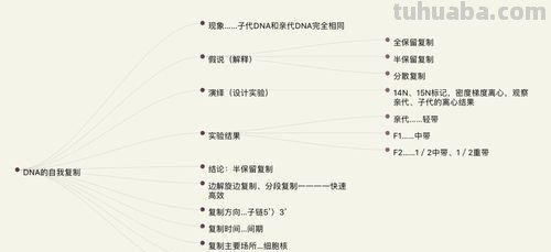 怎么才能复制思维导图 思维导图怎么一键复制？
