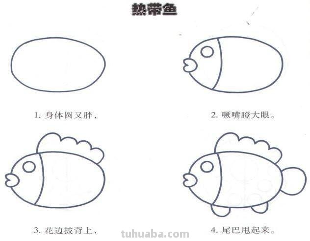 线性速写鱼 素描画鱼怎样画步骤？