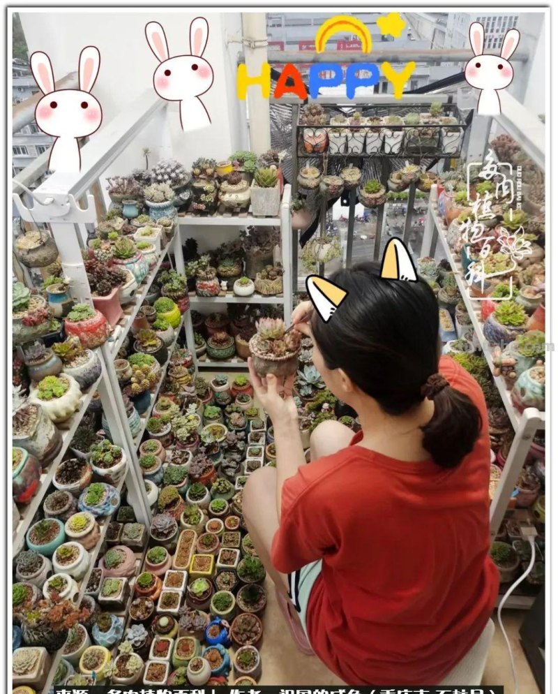 那些让人烦心又可爱的多肉们！未来总是充满期待
