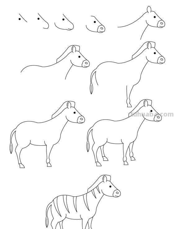 超级详细的动物简笔画教程，一学就会
