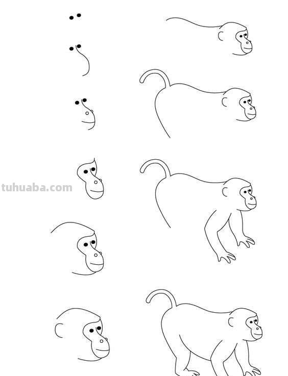 超级详细的动物简笔画教程，一学就会