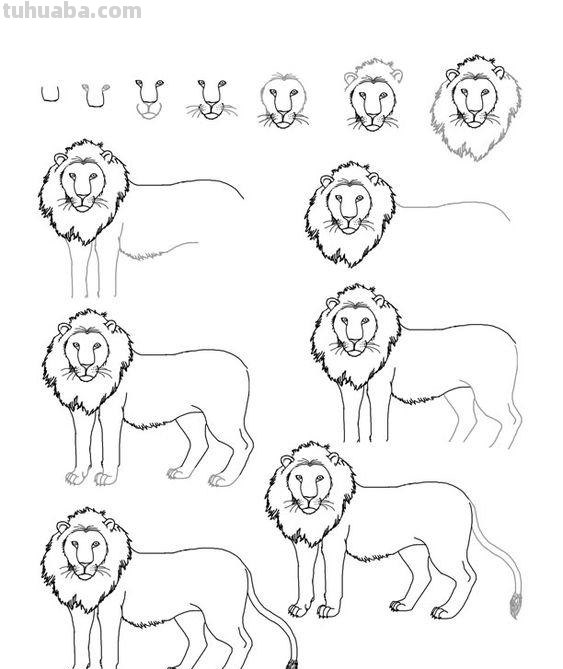 超级详细的动物简笔画教程，一学就会